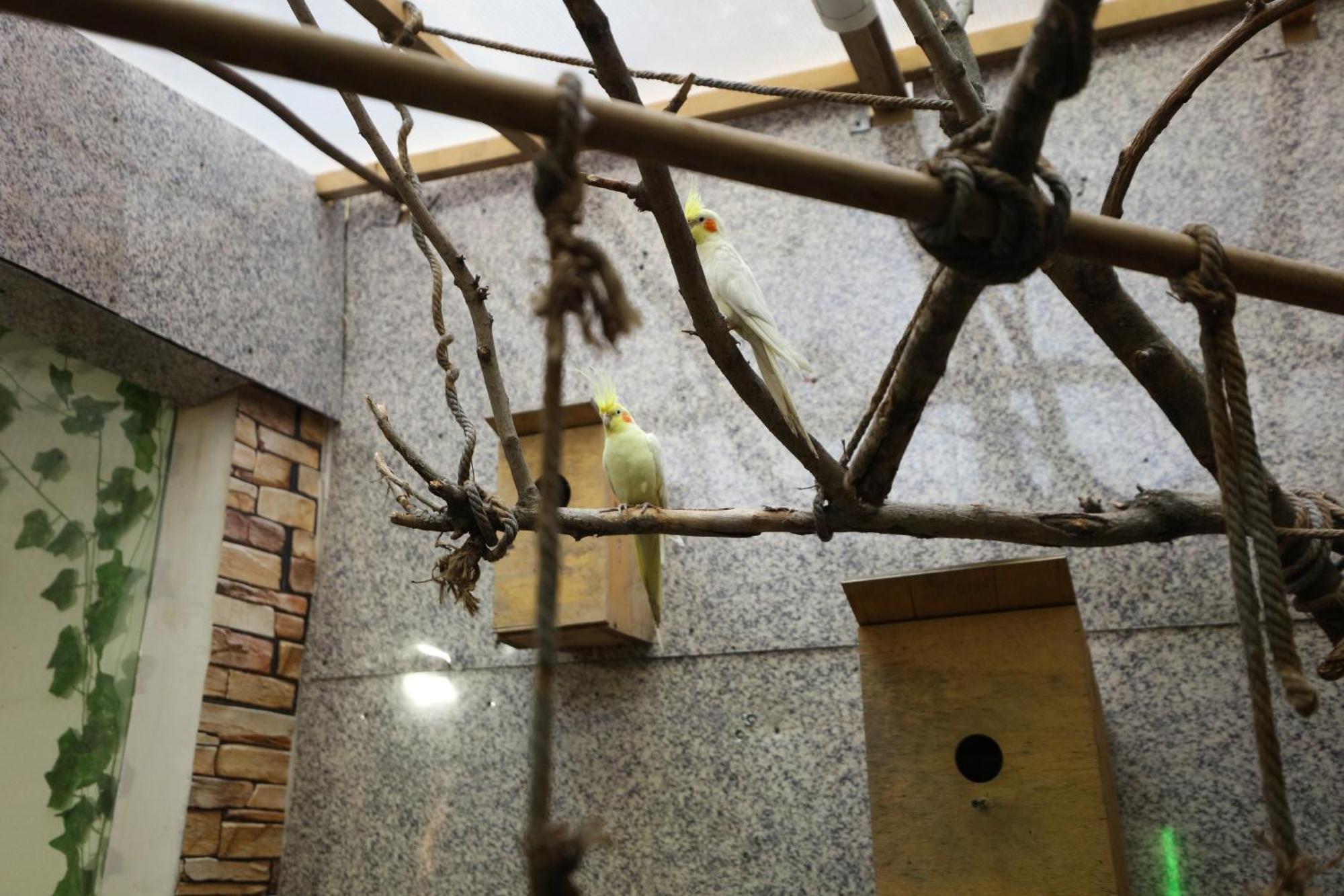 U Ashota Yerevan Exterior foto